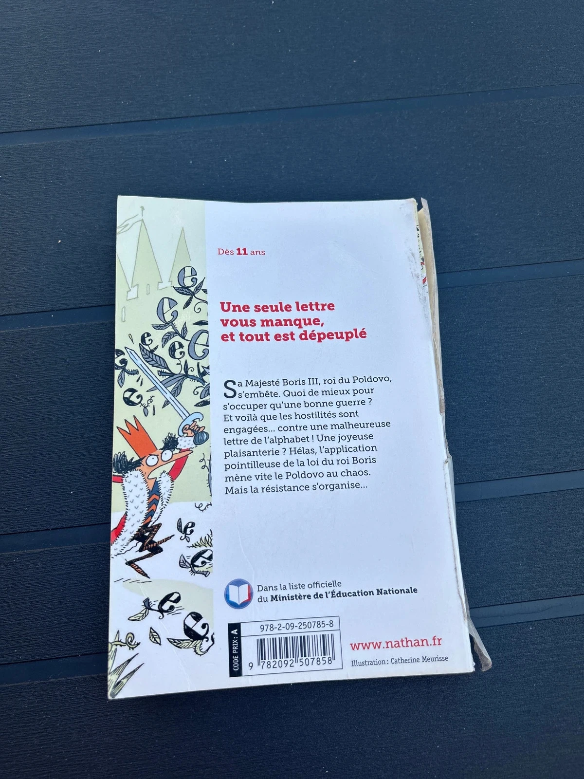 Boek de wet van koning Boris Gilles gebarst Nathan – photo 3